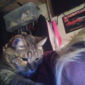 Meet your Posher, Summer